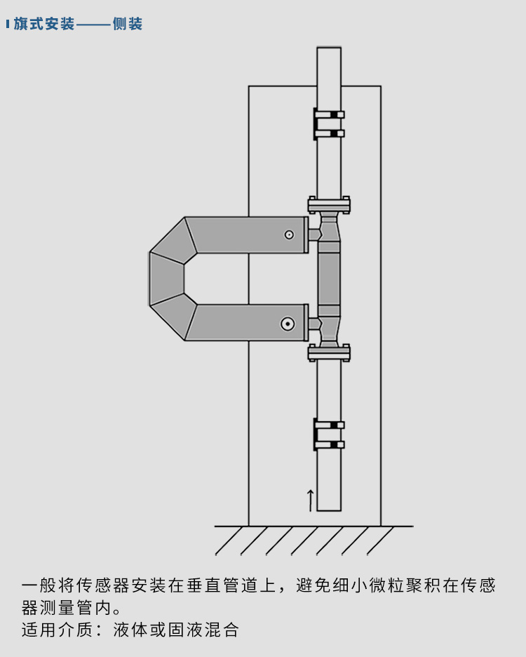 科里奧利質(zhì)量流量計垂直安裝示意圖